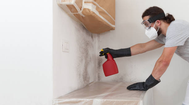 Professional Attic Mold Remediation technician working in Jamestown, NC