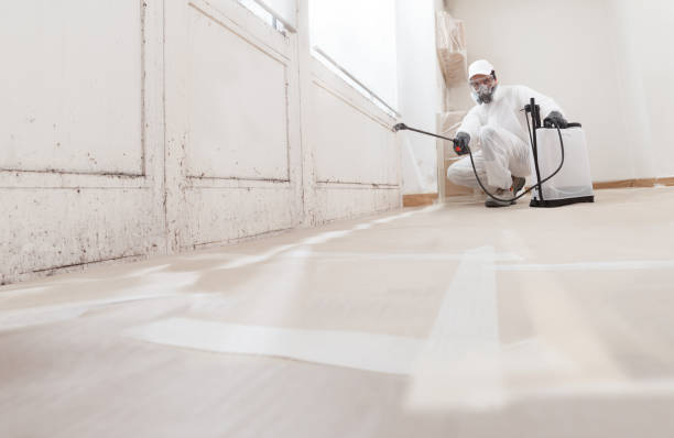24/7 Emergency Attic Mold Remediation experts in Jamestown, NC