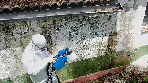 Top rated local Attic Mold Remediation specialists in Jamestown, NC